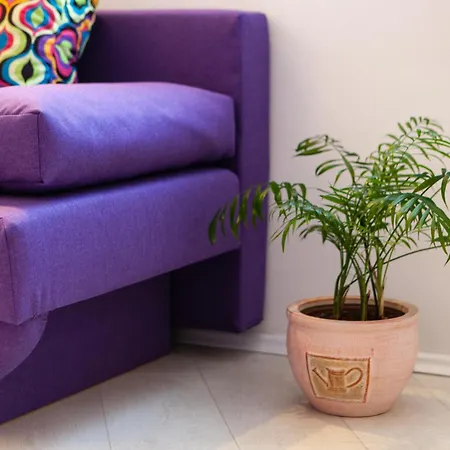 Apartment Old Town Split